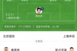 雷速体育下载-申花对阵苏宁，展开殊死搏斗的简单介绍