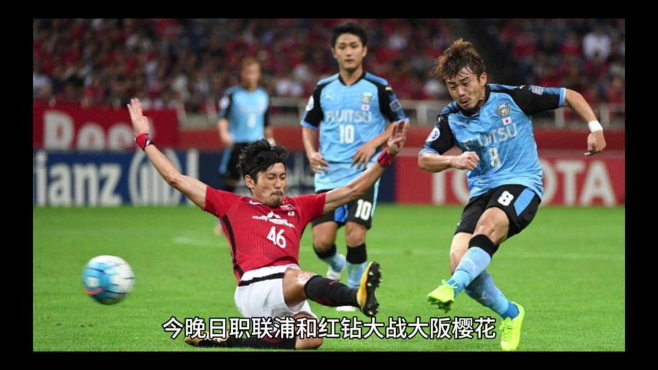 大阪樱花将挑战名古屋鲸八，争夺胜利的简单介绍